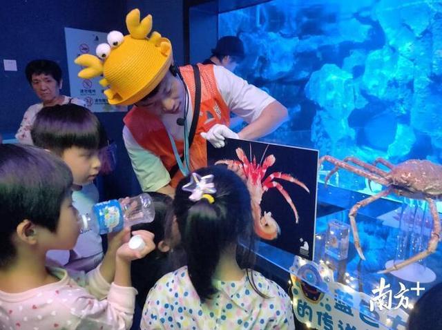 研学类成长游成亲子短途游新宠 升级版暑期产品受家长追捧