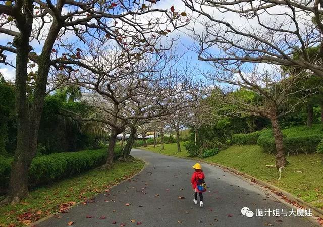 错峰出游嗨：冲绳八天七晚亲子游攻略，带你玩转滑梯公园之岛