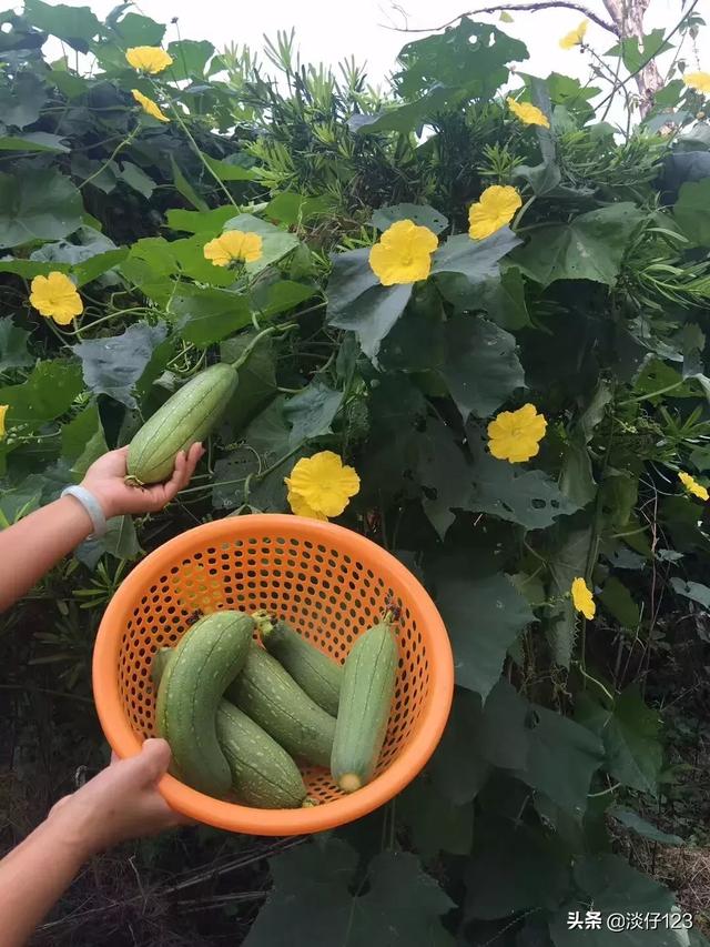 行走民宿——推开窗就是宫崎骏的的童话世界的诗意民宿