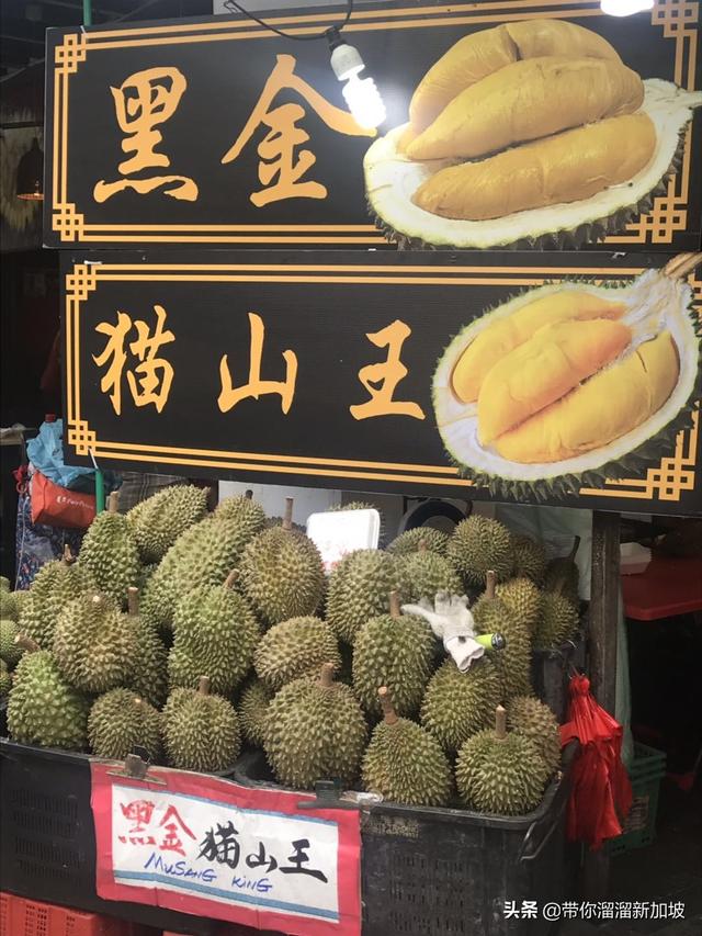 现在正是马来西亚猫山王榴莲收获的季节--闻到就直流口水