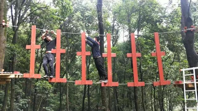 即将试营业！天竺山景区"飞越丛林"、"卡丁车"趣玩项目来袭！