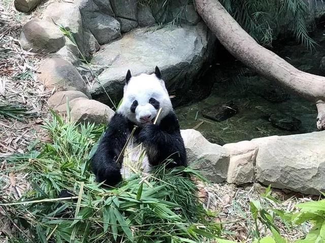 甜程游记 | 花样逛吃玩，快来get新加坡旅行的正确打开方式