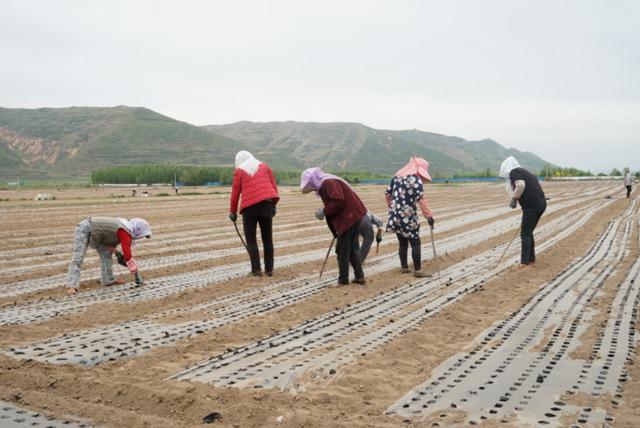 杨凌科技，落地生根养成记—2019走出杨凌看示范活动圆满收官