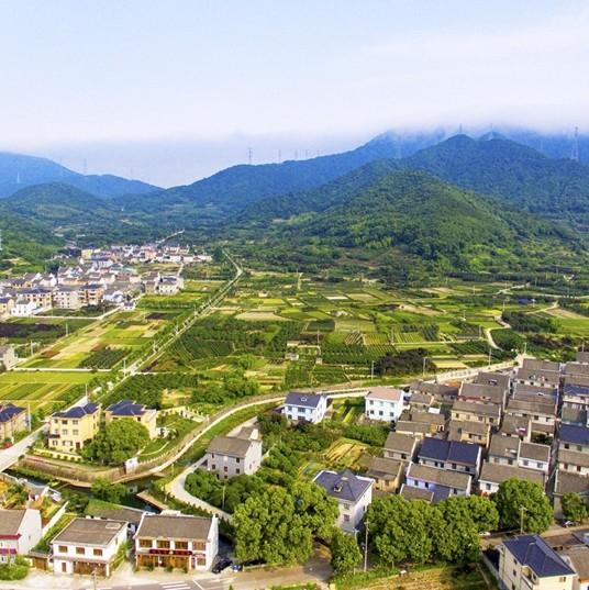 扩散提醒！请大家注意防范急性传染病“登革热”！