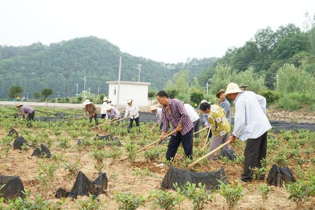 杨凌科技，落地生根养成记—2019走出杨凌看示范活动圆满收官