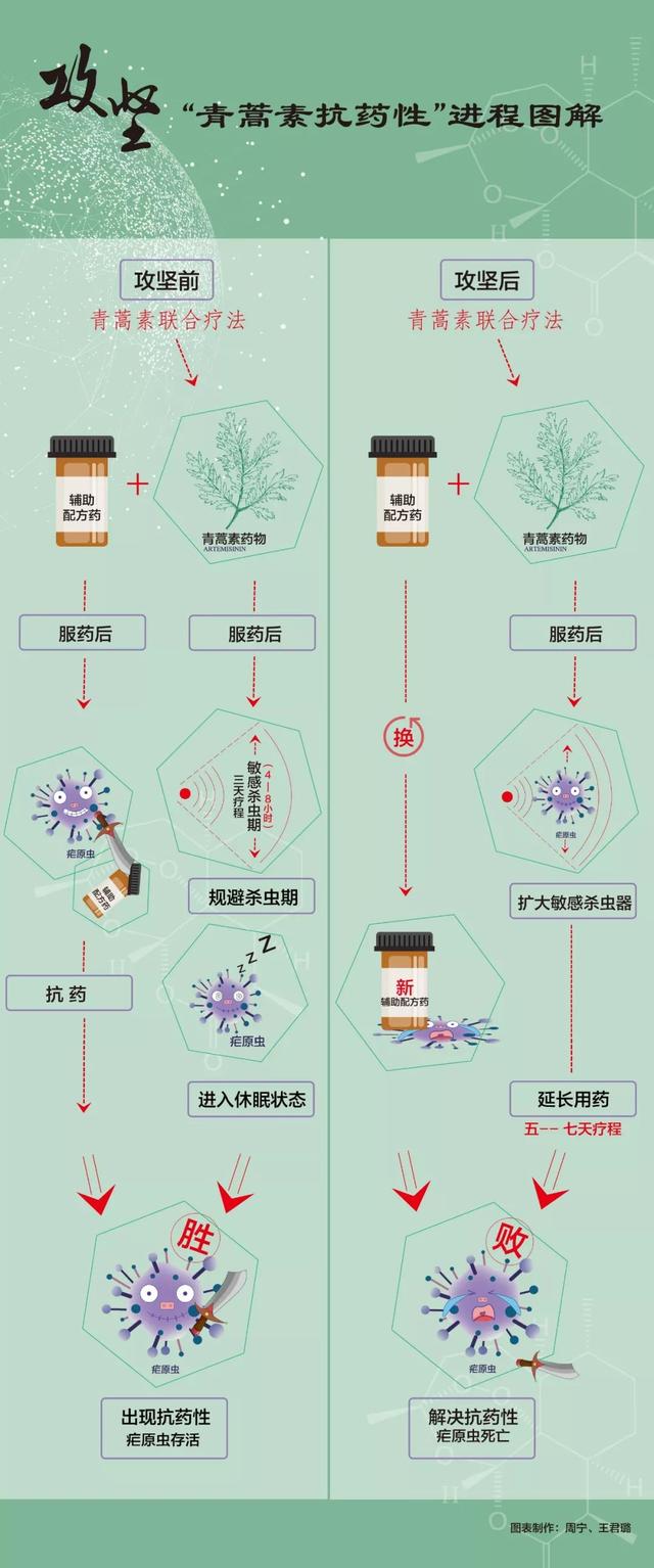 屠呦呦团队公布重大突破！青蒿素对这种病也有效果