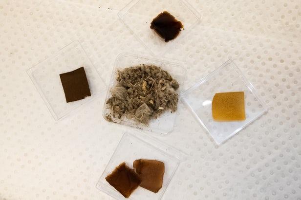 棉花废弃物的新用途：被用于制造可生物降解的塑料