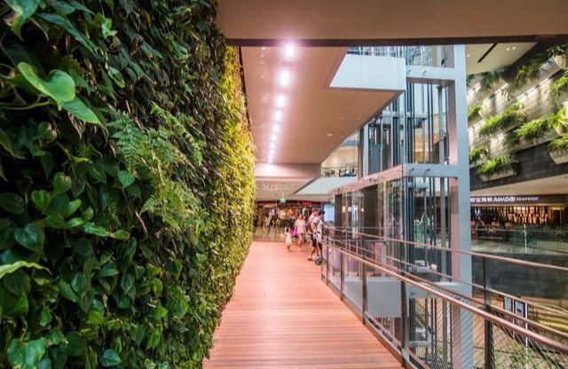 新加坡如森林般的机场，别国机场黯然失色