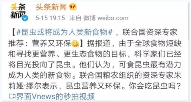 真香！吃起虫子来，哪里的人最狠？