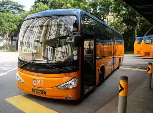 喜大普奔，新加坡一大波巴士开始报站啦