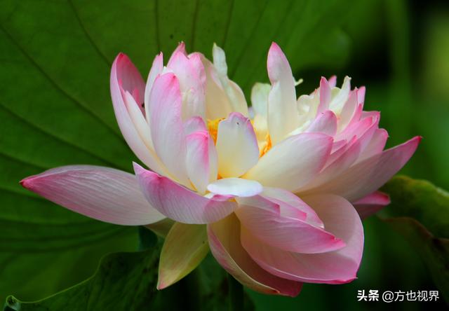7日旅游精选：济宁曲阜机场推出0元机票 心动不如抓紧行动了