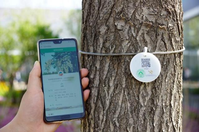 探访北京世园会美丽花朵背后的“秘密”