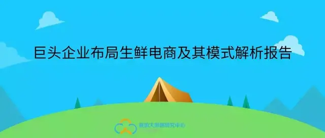 巨头企业布局生鲜电商及其模式解析报告