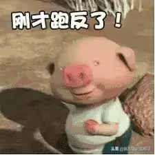实用！新加坡上网都能办什么？每个人都用得到~