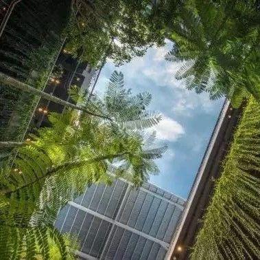 看看别人家购物中心如何靠“绿植”火了