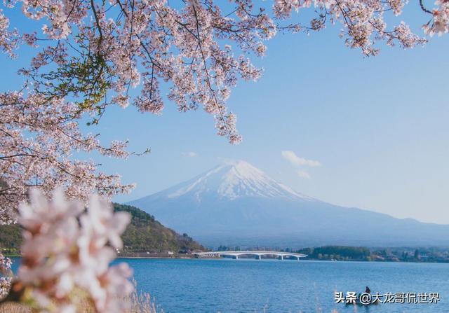 日本5月份接待外国游客数量创历史新高，中国游客最多，超过100万