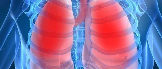 全球首批？日本为啥这么快