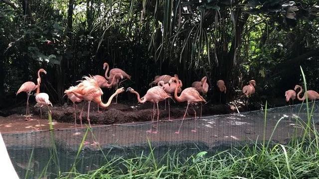 甜程游记 | 花样逛吃玩，快来get新加坡旅行的正确打开方式