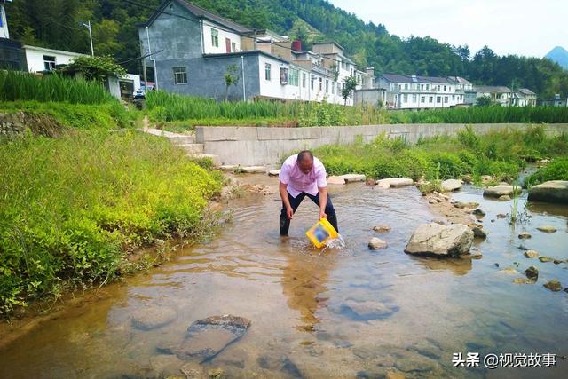 山村2000余亩田10年未种1株稻，堪称世外桃源，村民们“笑开颜”