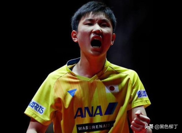值得国乒关注！张本智和组合横扫晋级，或成日本乒乓球新的王牌