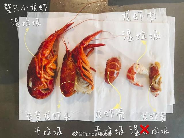4种垃圾分类就晕了？45种垃圾分类的“零垃圾”小镇了解一下