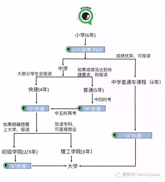 高考完去哪读书特迷茫？不同年龄新加坡留学路径拿好不谢