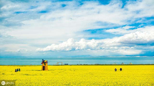 7月国内外旅行推荐，薰衣草、草原、海岛…总有你喜欢的那一款