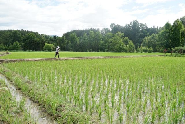 杨凌科技，落地生根养成记—2019走出杨凌看示范活动圆满收官