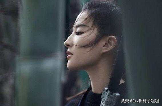 最全名单：11名当红艺人持有外国护照，在中国赚钱到外国享受生活