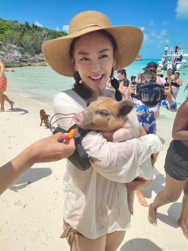 张雨绮懒理赡养费风波 怀抱小猪现身加勒比海度假