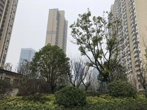 六月高峰期！万套房源迎来交付大考