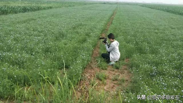 看中国花絮第二弹，视频动图带你走进这场奇妙的拍摄之旅~