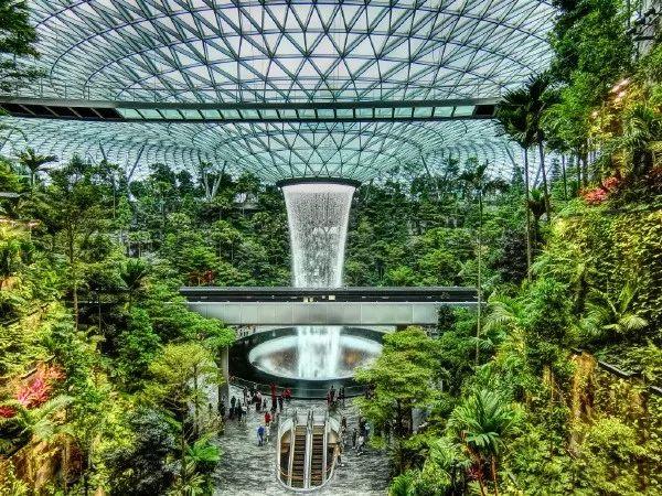 这群新加坡人在机场造森林，还建世界最高室内瀑布！你怎么看？