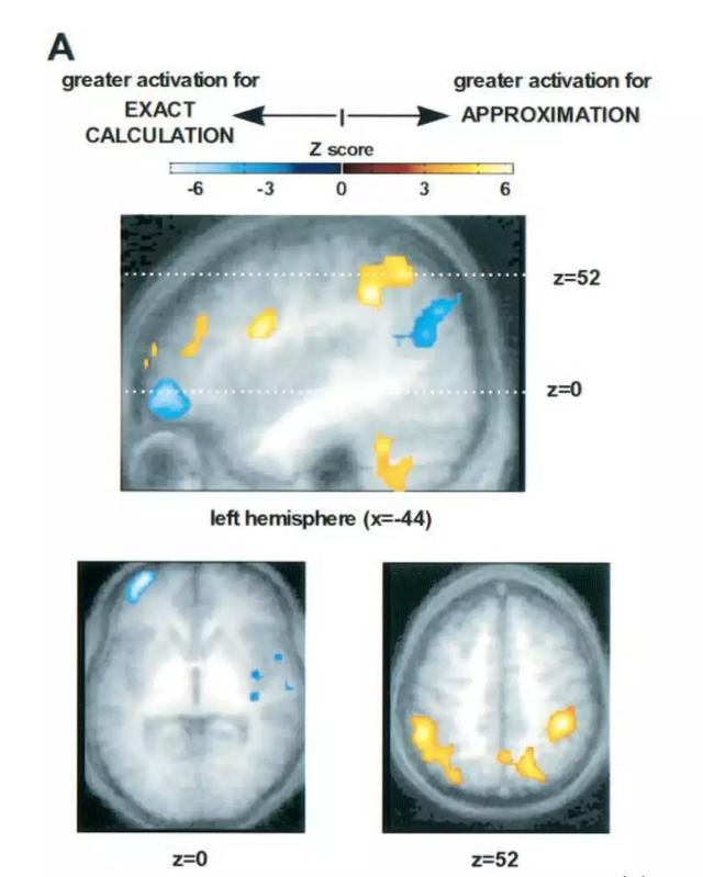 教孩子视觉数学比教计算更重要