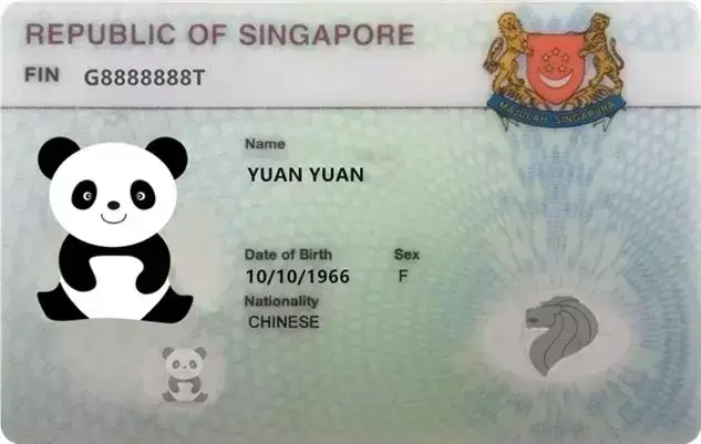 不拿工作准证，外国人也能在新加坡工作