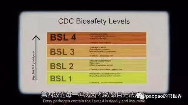 文明与病毒的距离——血疫埃博拉