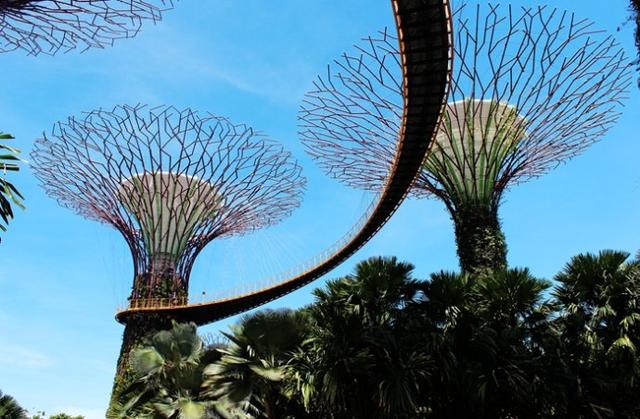 新加坡这座城市的代表之作 美丽的滨海花园