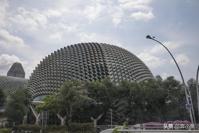 新加坡的这个建筑真不愧为艺术中心，看这外形就特艺术，像什么？