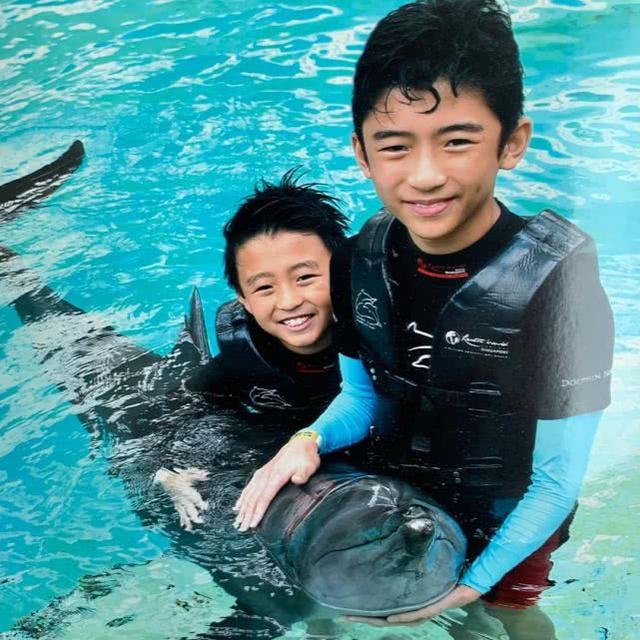张柏芝带小儿子回新加坡半月不归 陪大儿子二儿子游海洋馆抱海豚