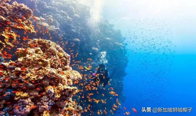 最新！2019年亚太最佳旅游地TOP10，中国和新加坡都上榜了