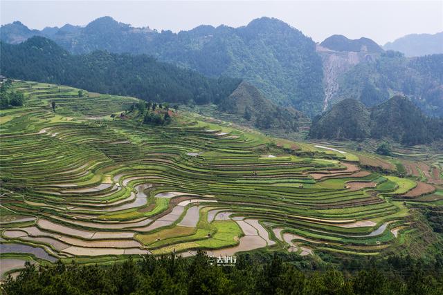 贵州有座苗族村：祖辈把大山挖成田，如今村民把游客带回家看田