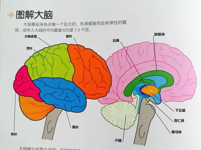 因为月薪没到7万，放假只能把娃砸手里？