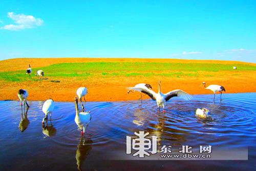 “周末游龙江”夏季119项丰富节庆活动来袭