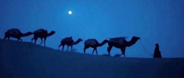 夏天，撒哈拉夜生活