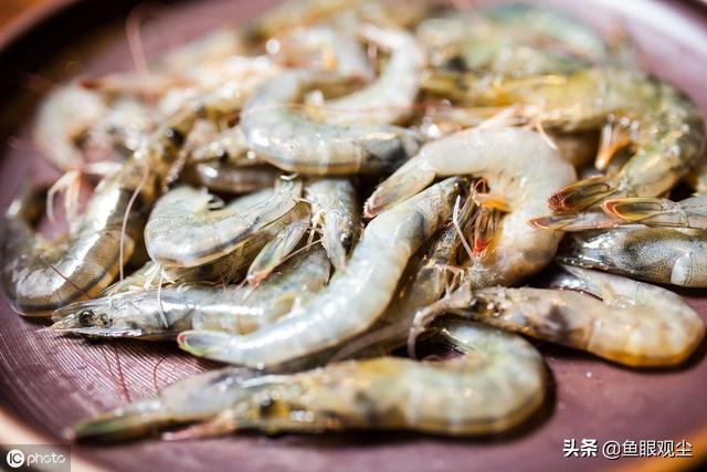 上海外滩老码头：在璞本享受创意美食，欣赏黄浦江美景
