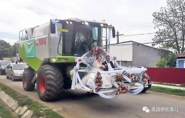 我去！在马路上猛然遇见庞然巨鹿？此景只应这里有啊