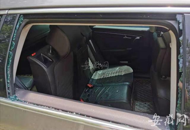 合肥新加坡花园城小区内八辆车被砸窗 财物未丢失