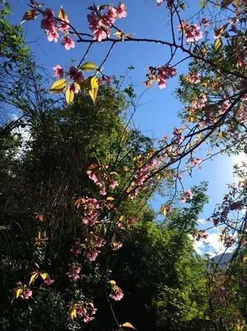 米易，一座阳光眷顾的城市