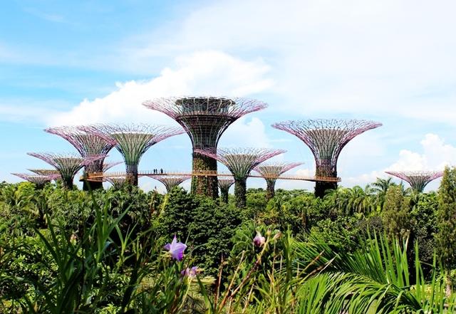 新加坡这座城市的代表之作 美丽的滨海花园