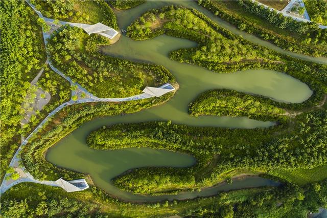 2019AZ Awards揭晓，中国土人、OPEN、PONE获奖